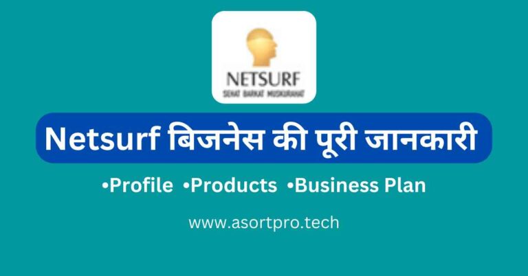 Netsurf Business Plan in Hindi