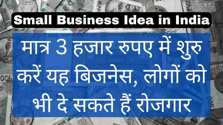 Fool Jhadu Business Idea in Hindi