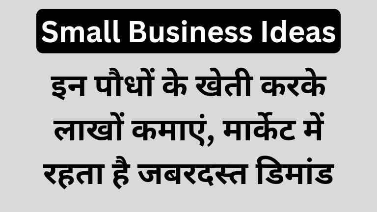3 Plants Business Idea in Hindi