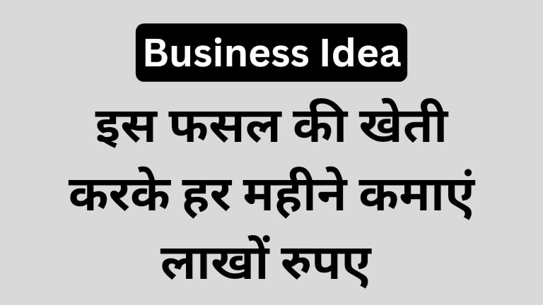 Nimbu business idea