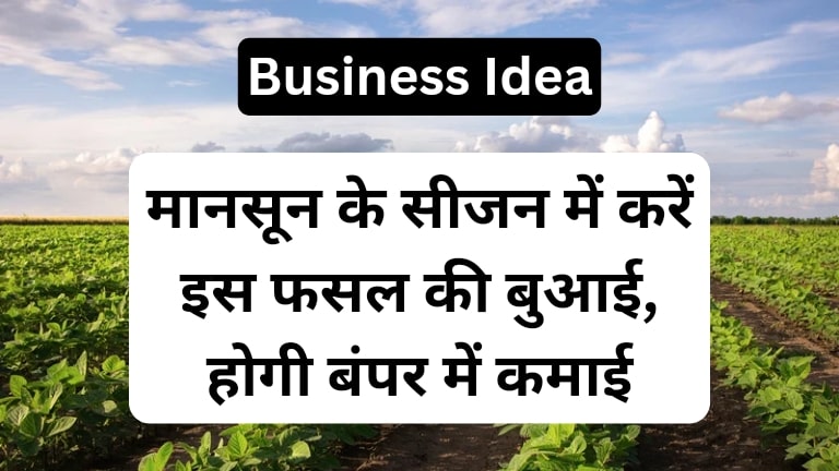 Soybean Farming Business Idea in Hindi